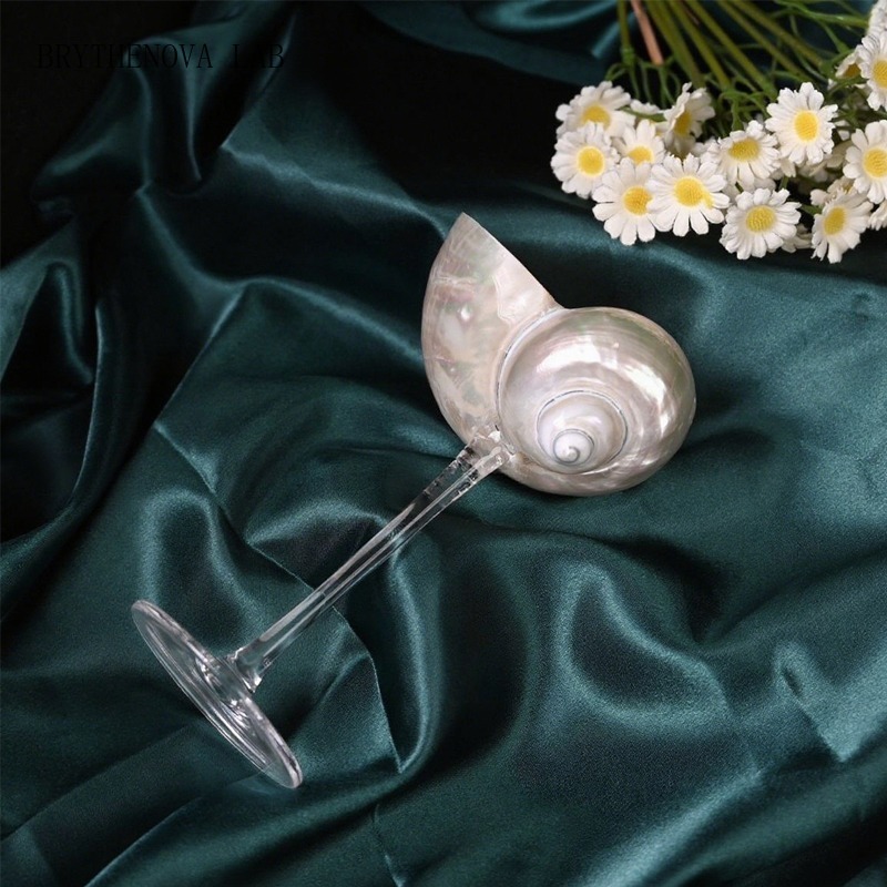 Light Luxury Conch Shell Champ - Lighting Glass Photography 评论和价格
