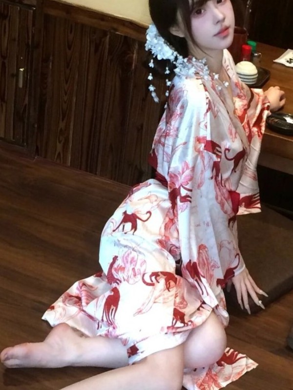 New Chinese Style Sleepwear Ha - Photography Lighting For Studio 评论和价格