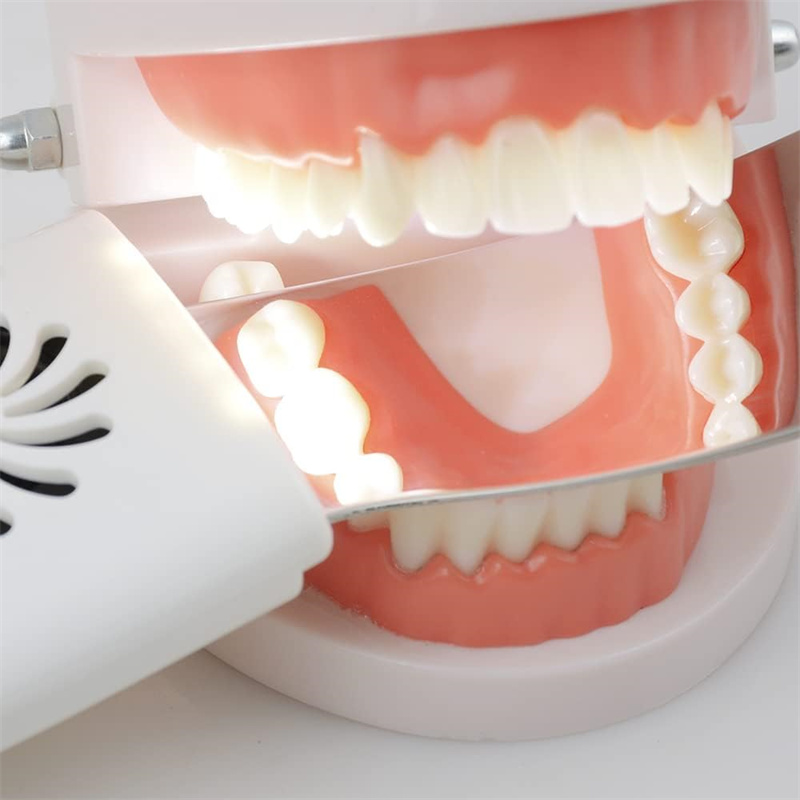 Dental Anti-Fog Mirrors With L - Photography Lighting Led 评论和价格