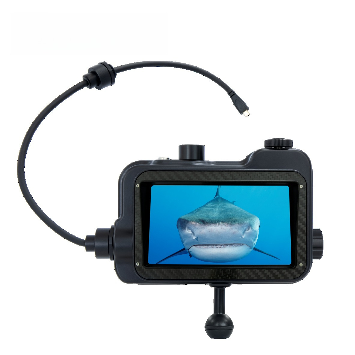 HDR monitor, diving photograph - Photography Lighting Definition 评论和价格