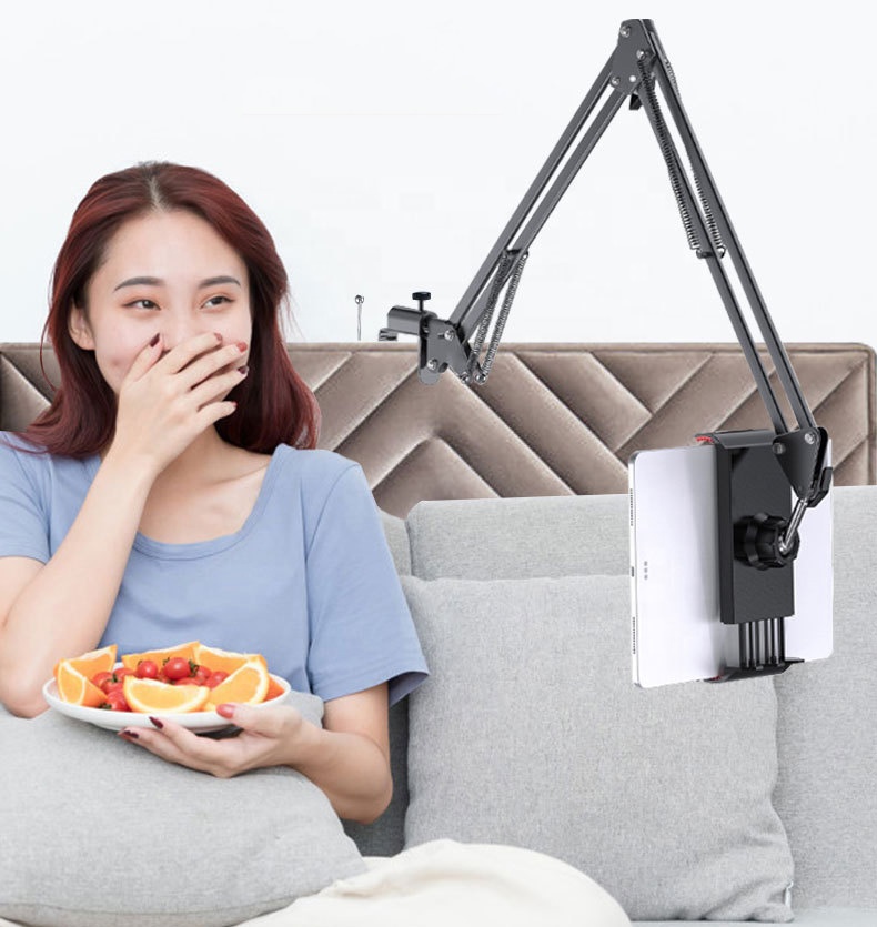 Adjustable Suspension Boom Mic - Boom Arm Stand 评论和价格