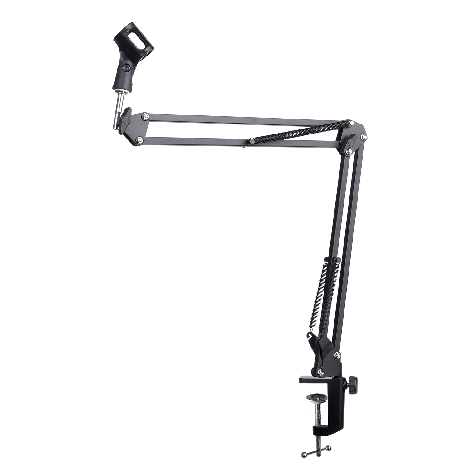 Extendable Recording Microphon - Boom Arm Stand 评论和价格